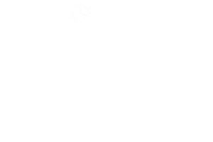 LOGO TDM